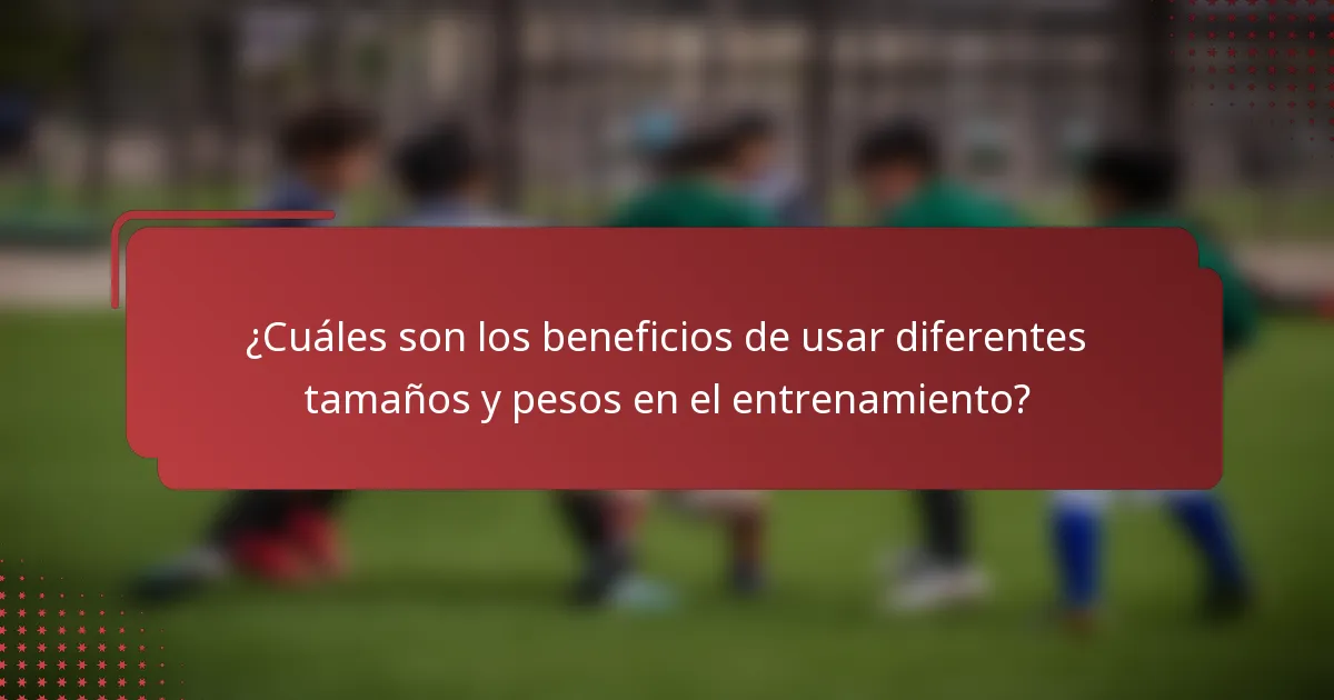 ¿Cuáles son los beneficios de usar diferentes tamaños y pesos en el entrenamiento?