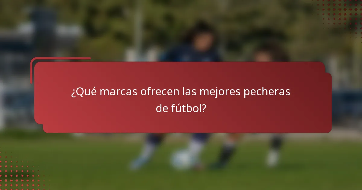 ¿Qué marcas ofrecen las mejores pecheras de fútbol?