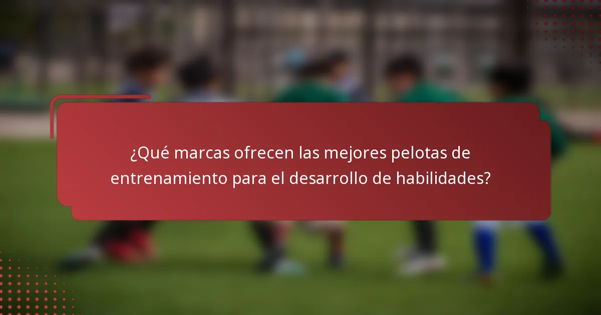 ¿Qué marcas ofrecen las mejores pelotas de entrenamiento para el desarrollo de habilidades?