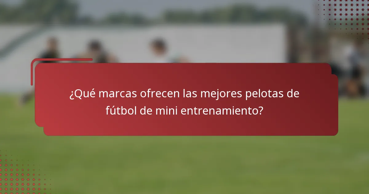 ¿Qué marcas ofrecen las mejores pelotas de fútbol de mini entrenamiento?