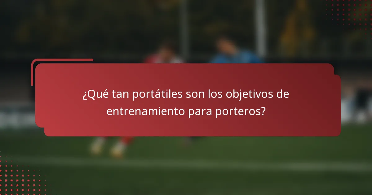 ¿Qué tan portátiles son los objetivos de entrenamiento para porteros?